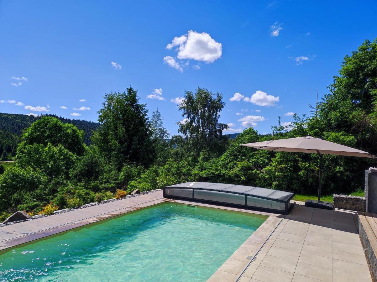 Le Cerf, Chalet Cocooning Avec Piscine Et Billard Ban-sur-Meurthe-Clefcy 外观 照片
