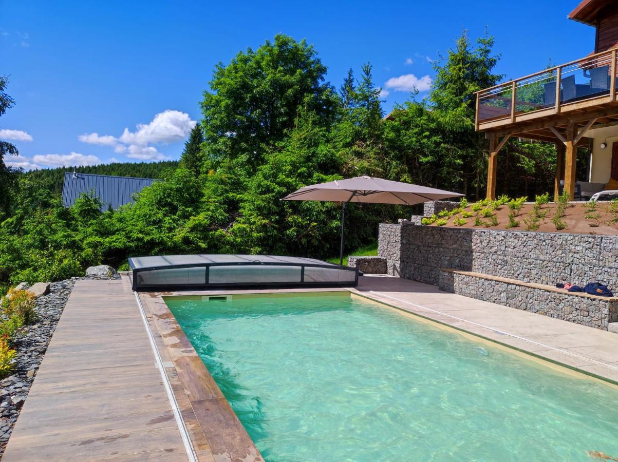 Le Cerf, Chalet Cocooning Avec Piscine Et Billard Ban-sur-Meurthe-Clefcy 外观 照片