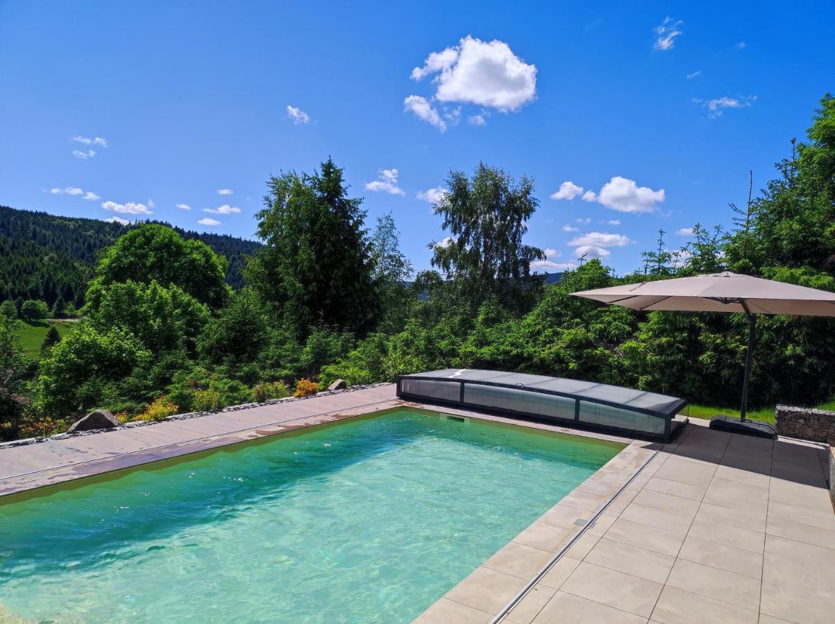 Le Cerf, Chalet Cocooning Avec Piscine Et Billard Ban-sur-Meurthe-Clefcy 外观 照片