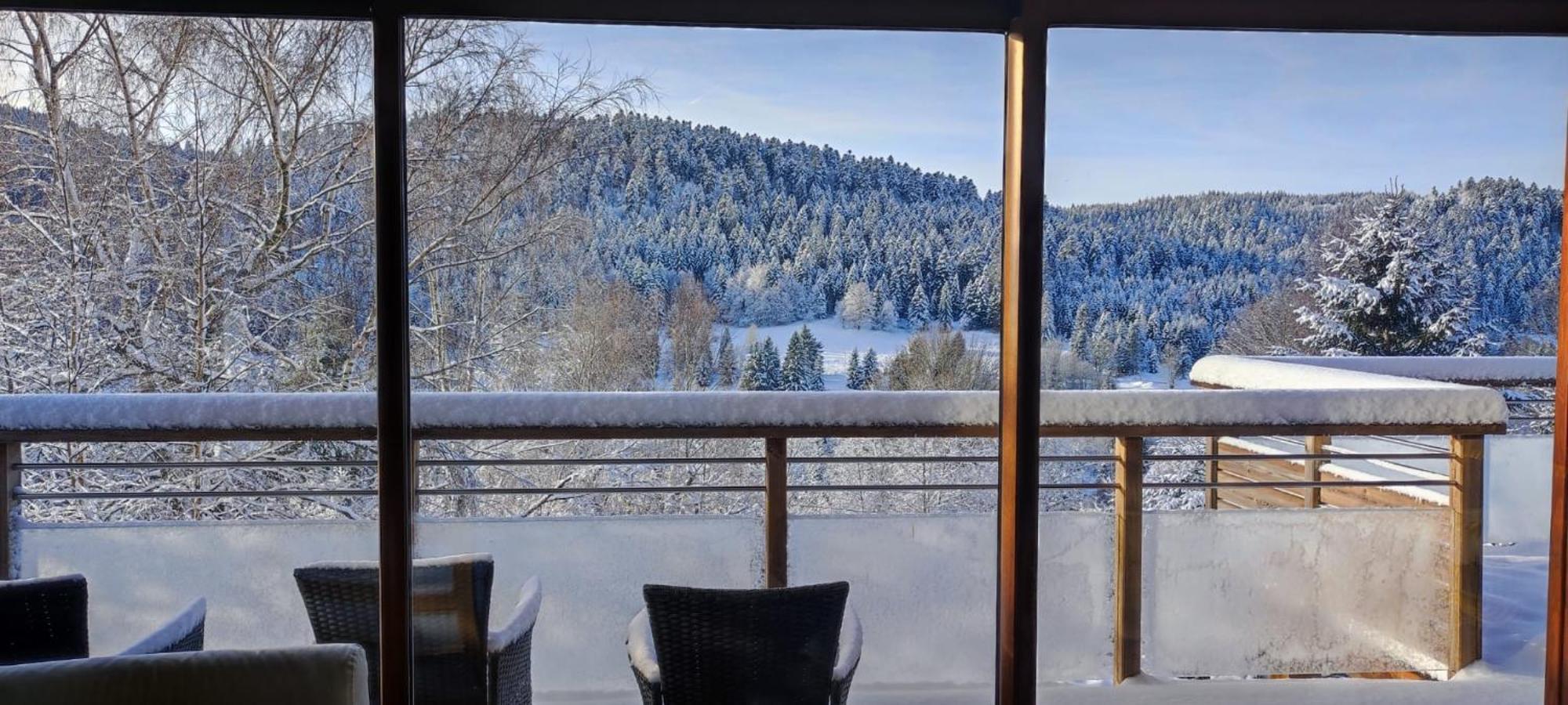 Le Cerf, Chalet Cocooning Avec Piscine Et Billard Ban-sur-Meurthe-Clefcy 外观 照片